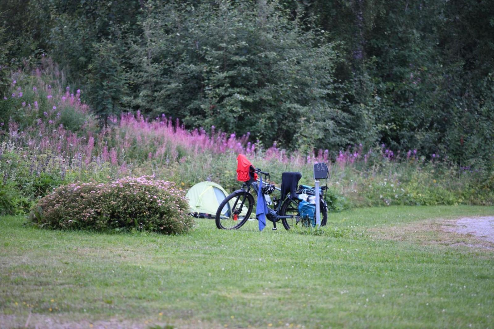Haennilaensalmi Camping Viitasaari Ngoại thất bức ảnh